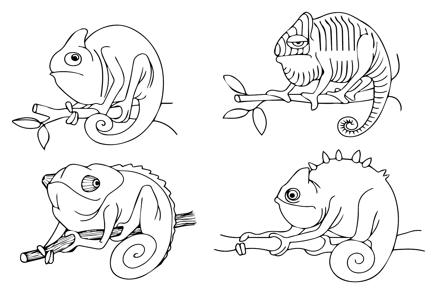 Coloring Pages of Chameleons from Chameleon