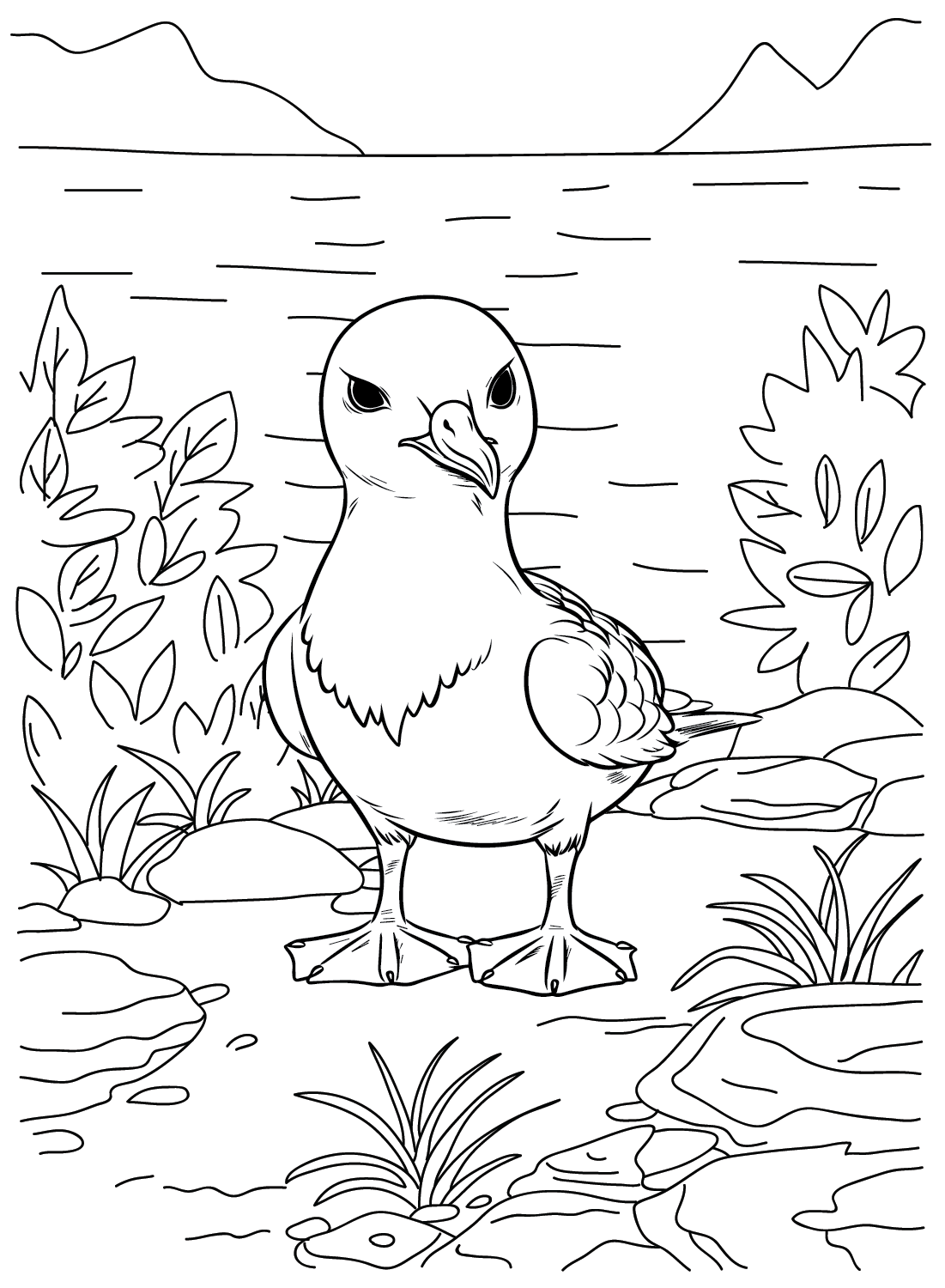 Cute Albatross Coloring Page from Albatross