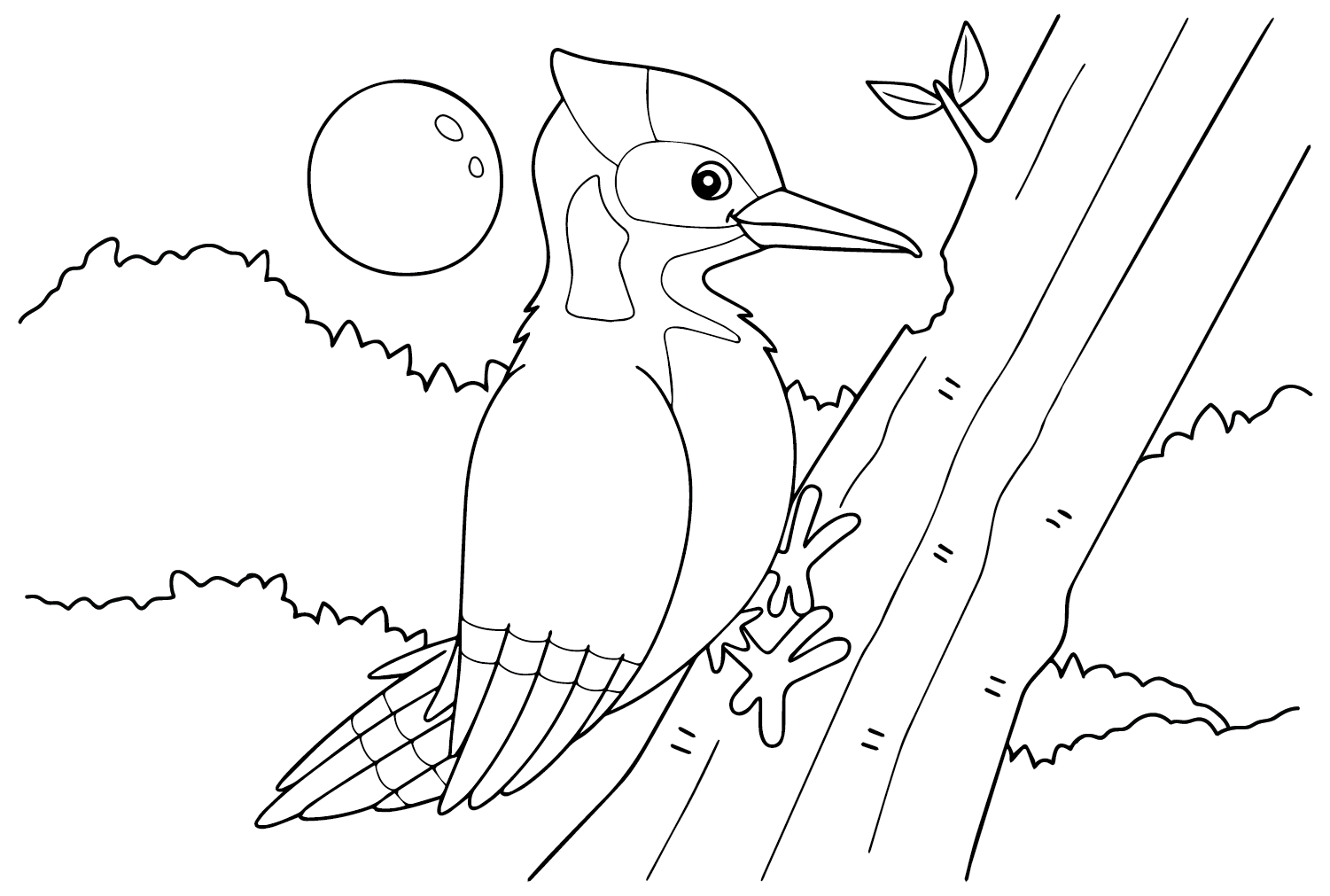 Página en color del pájaro carpintero velloso de Woodpecker