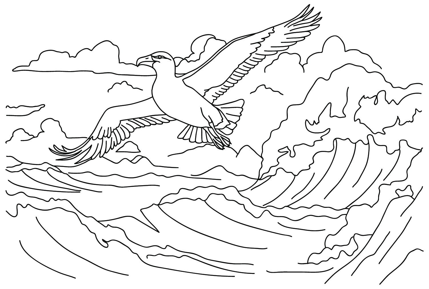Рисование альбатроса в цвете из альбатроса