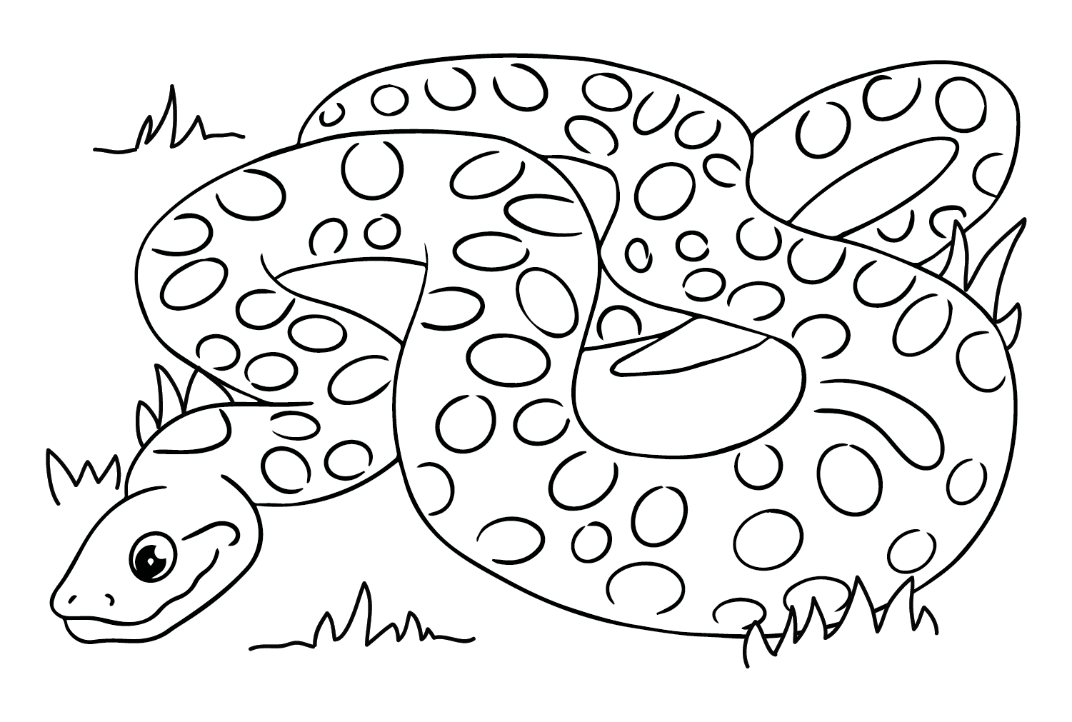 Drawing Anaconda Coloring Page Coloring Page