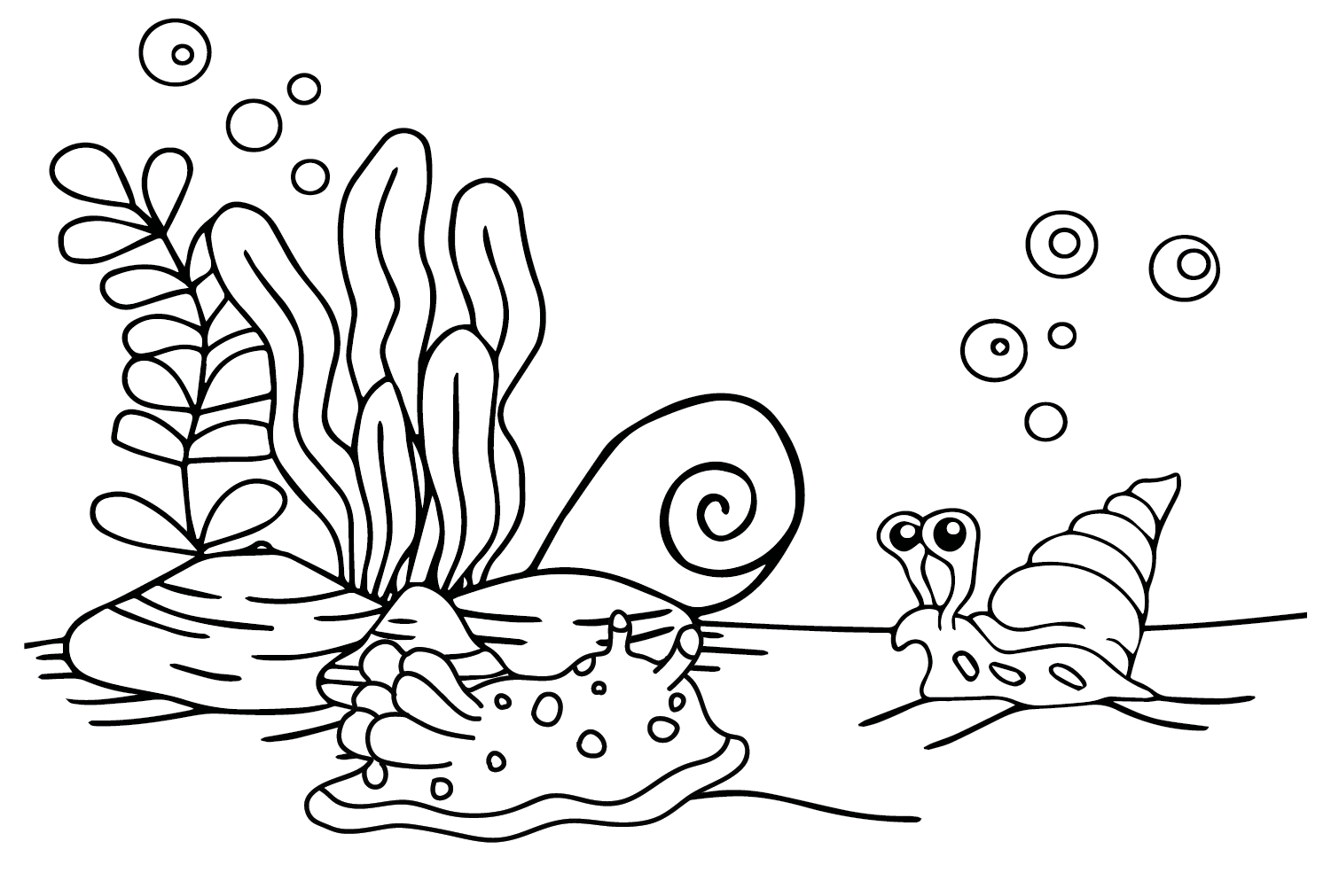 Desenhando lesma do mar de lesma do mar