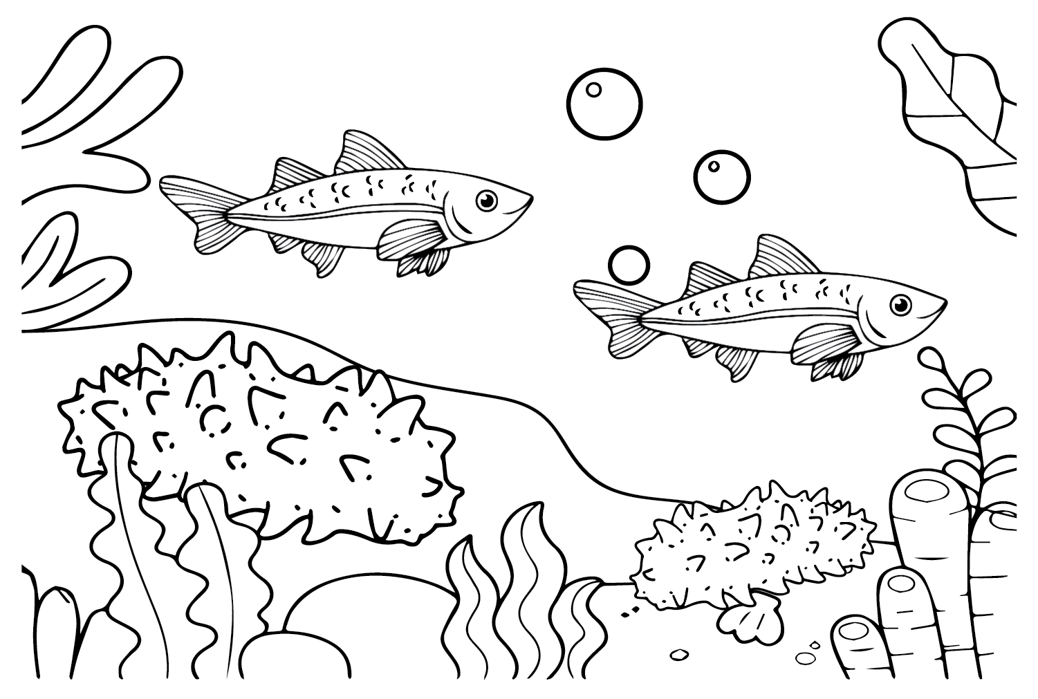 Pesce e cetrioli di mare da cetrioli di mare