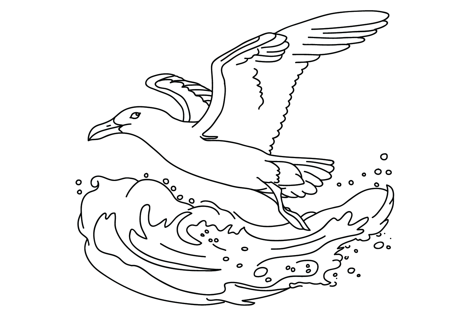 Kostenlose Albatros-Malvorlage von Albatros