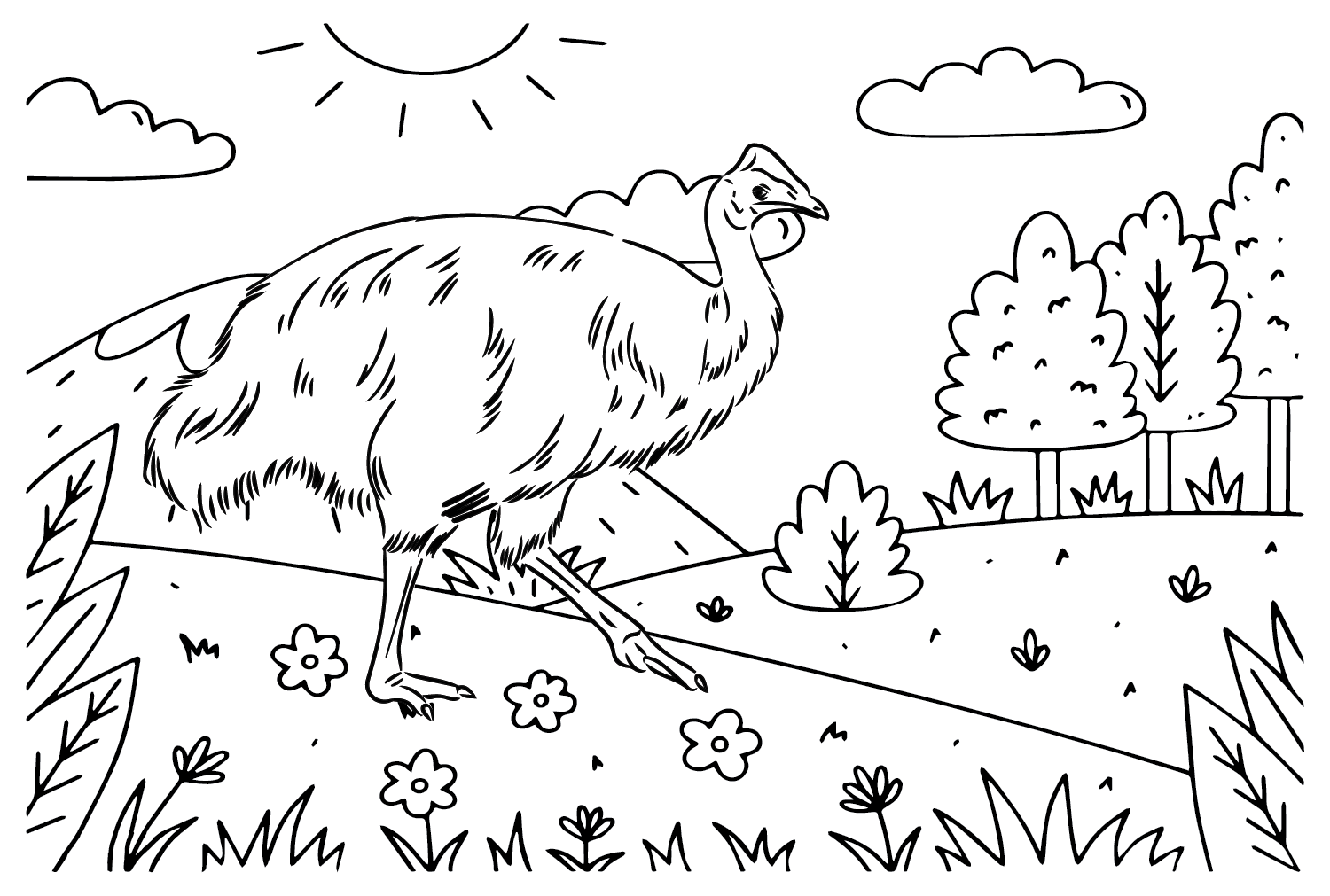 Free Cassowary Coloring Page from Cassowary