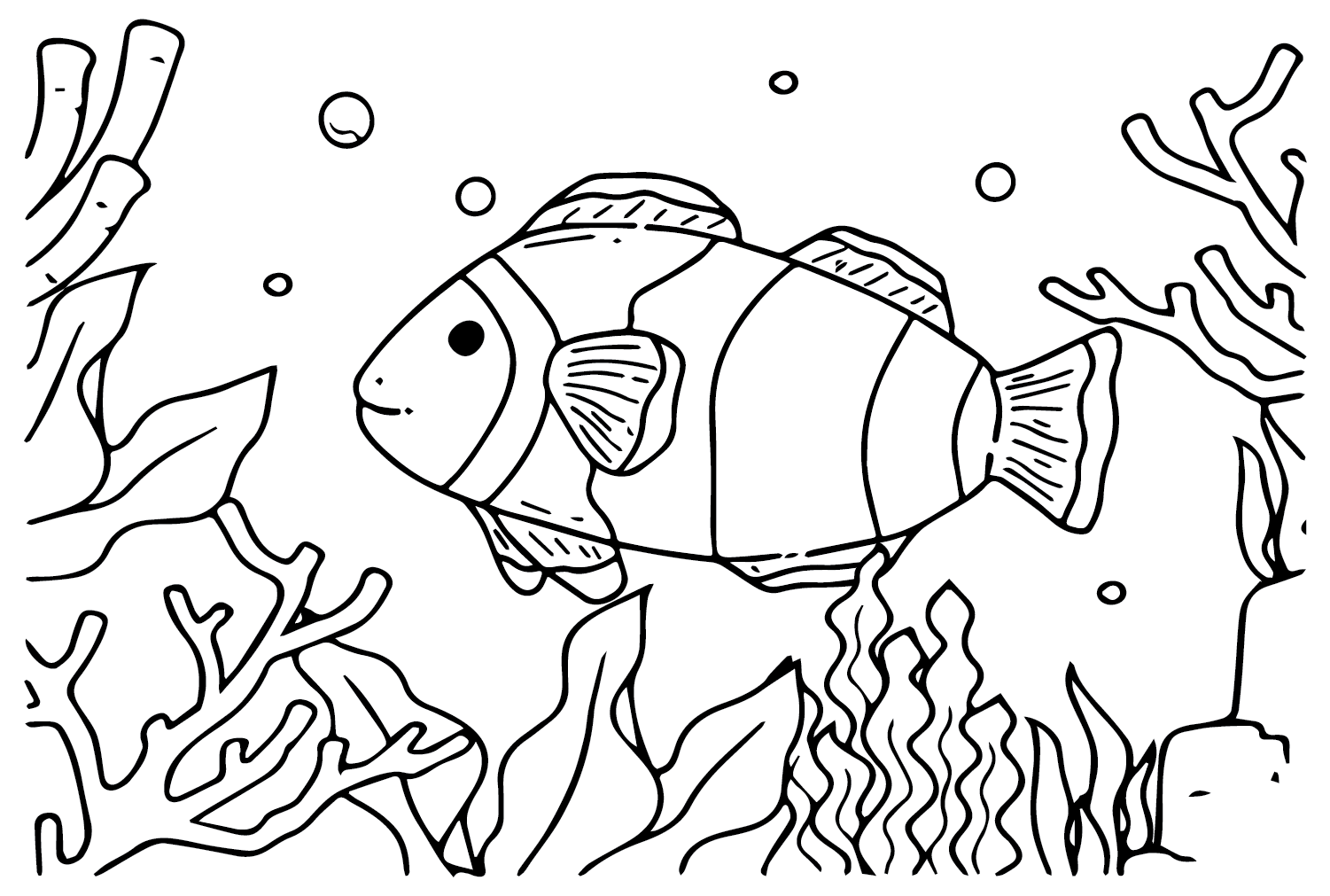 Бесплатная распечатка рыбы-клоуна от Clownfish