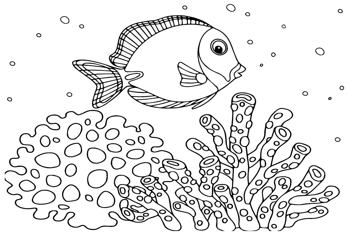 Tang Fish Coloring Pages - Free Printable Coloring Pages