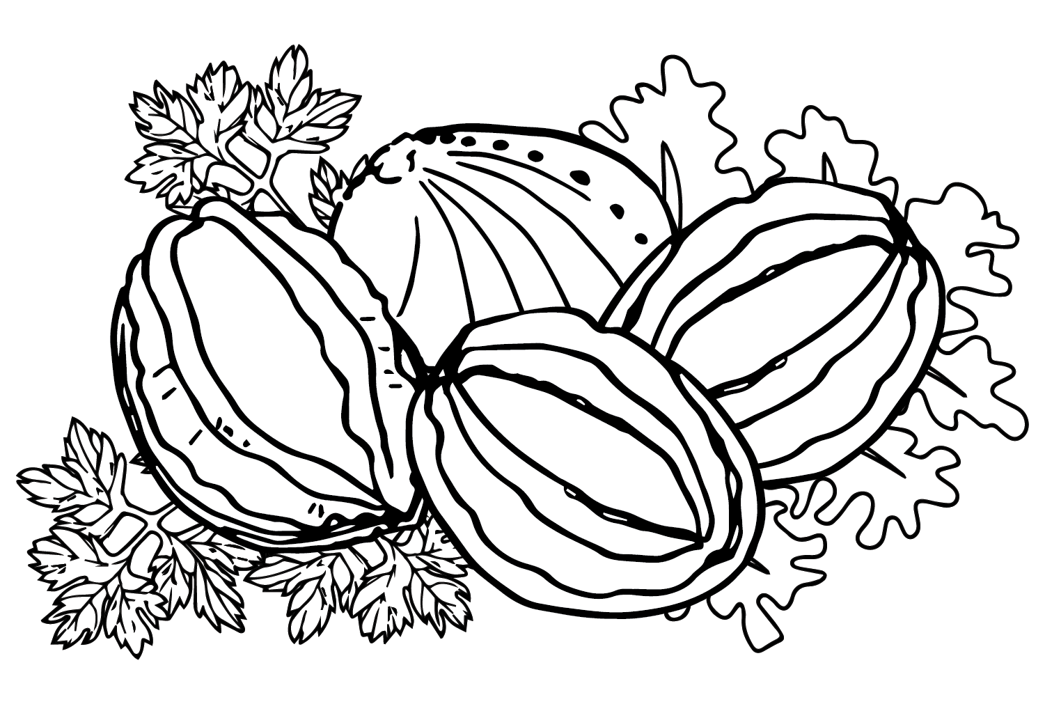 Fresh Abalone Coloring Page from Abalone