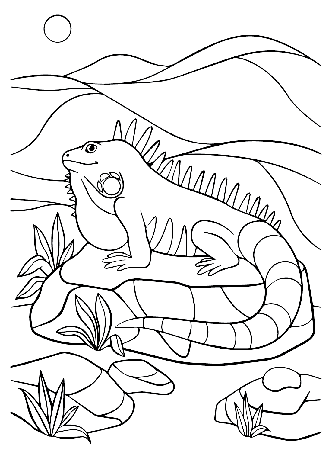 Página para colorear de iguana de dibujos animados de Iguana