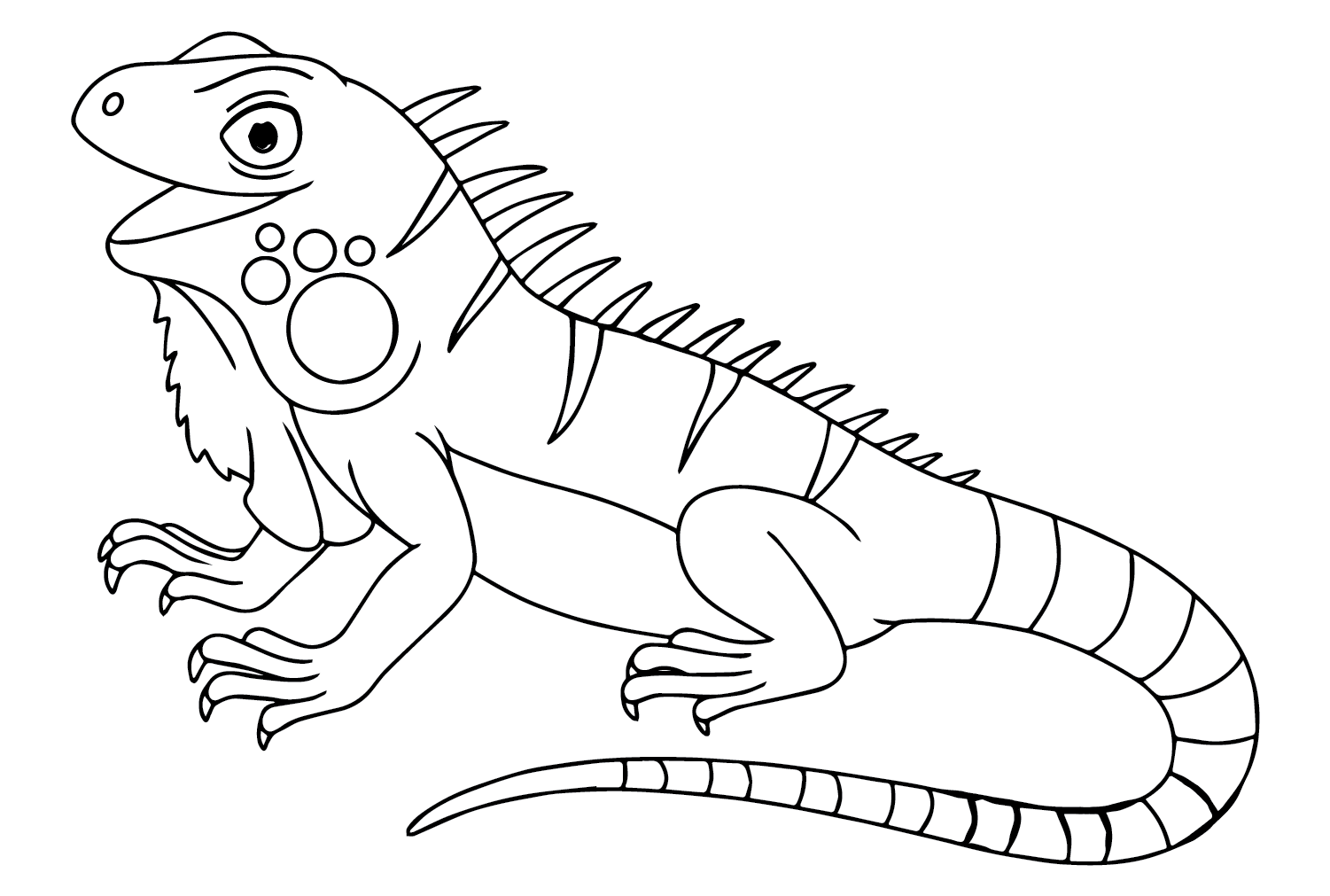 Iguana Coloring Sheet