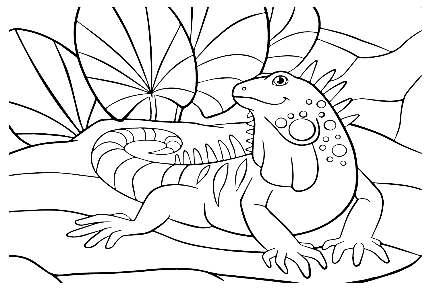 Image d'iguane à colorier d'iguane