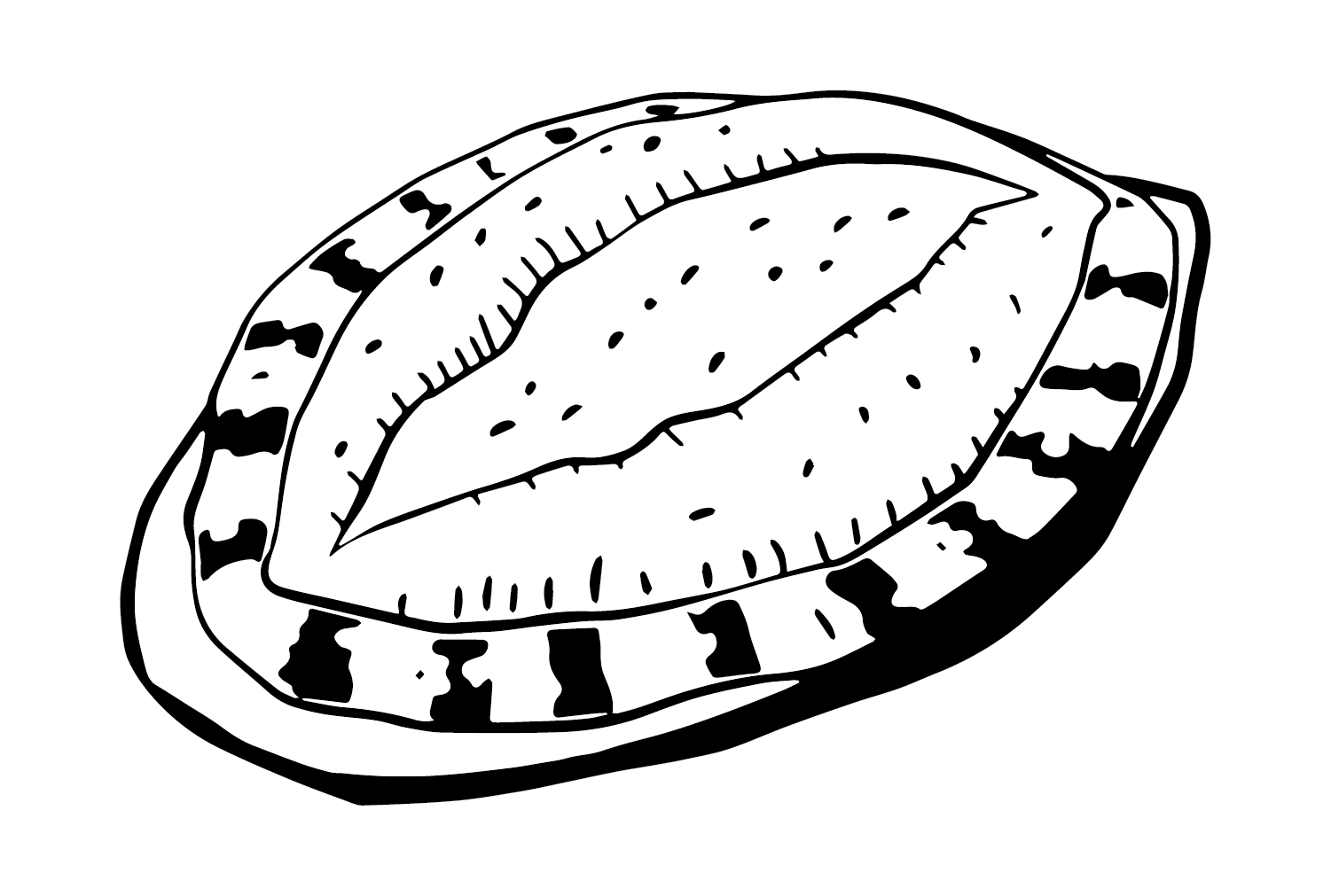 Images Abalone Coloring Page from Abalone
