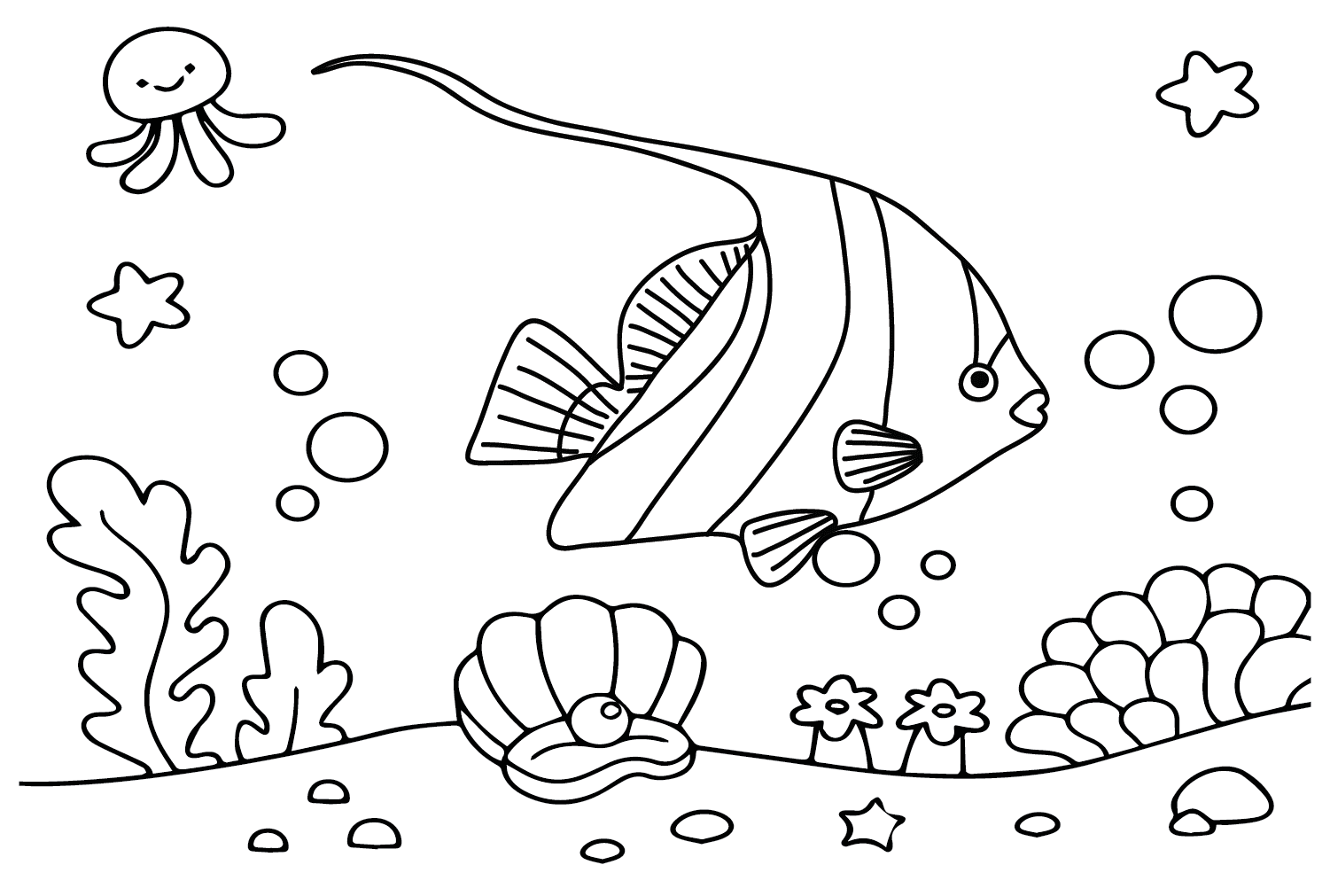 Bilder Wimpelkorallenfisch von Wimpelkorallenfisch