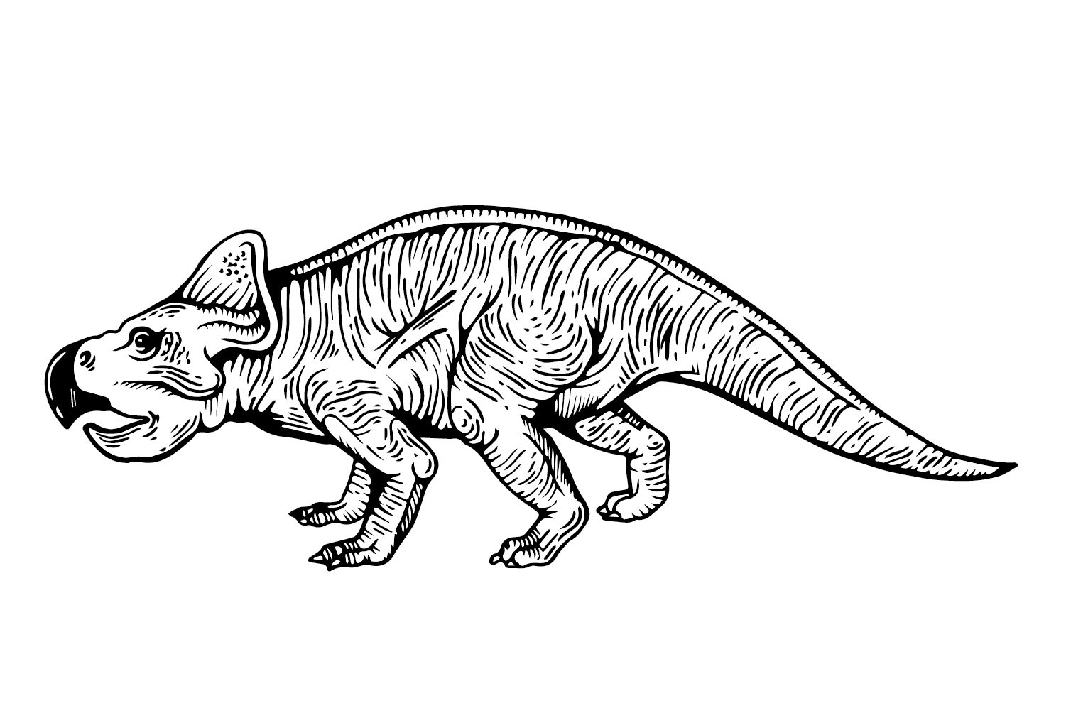Immagini Protoceratops Pagina da colorare di Protoceratops
