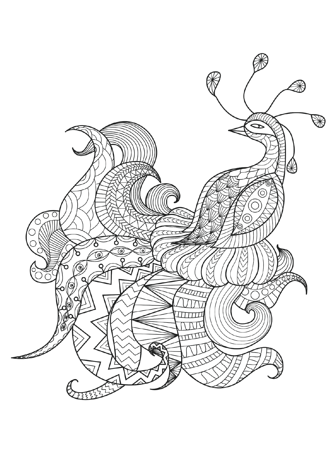 Images Zentangle Peacock Coloring Pages