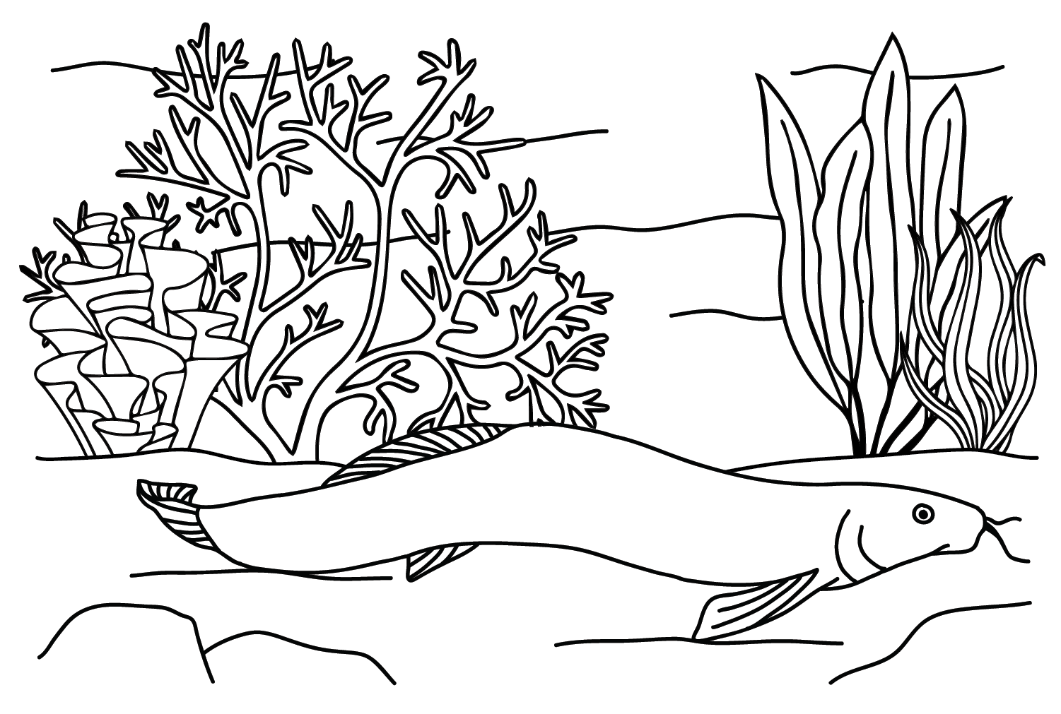 Print Loach Coloring Pages - Loach Coloring Pages - Coloring Pages For ...