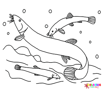 Loach Coloring Pages