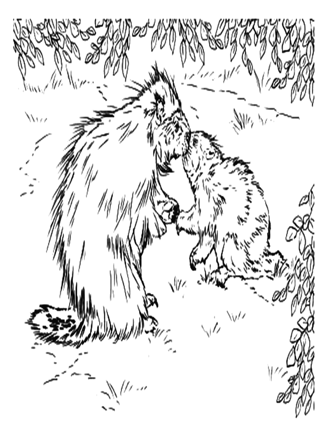North American Porcupine Coloring Sheet from Porcupine