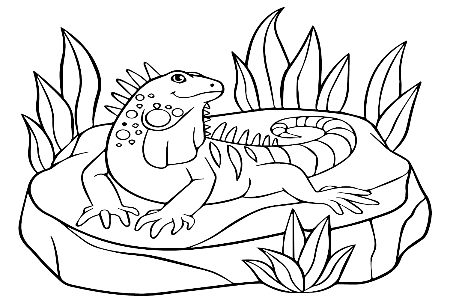 Outline of Iguana Coloring Page