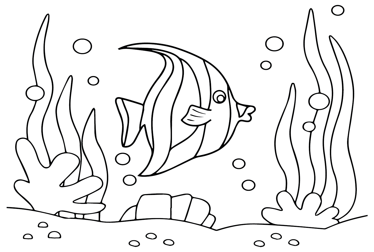 Искусство вымпела Coralfish от Pennant Coralfish