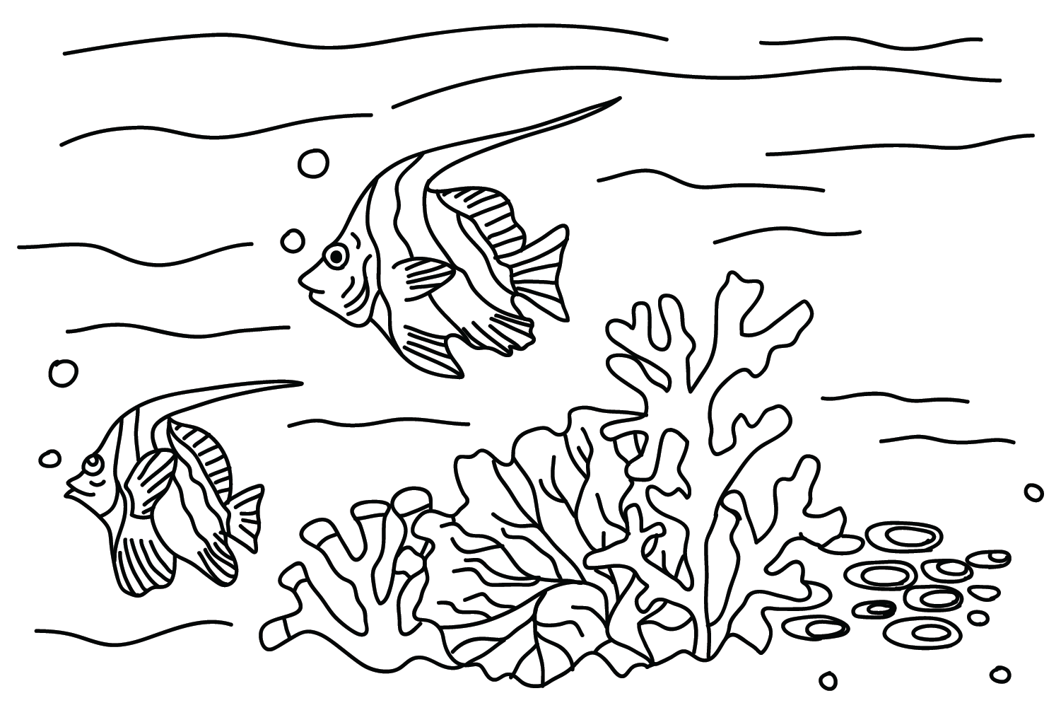 Рисунок вымпела коралловой рыбы из вымпела коралловой рыбы