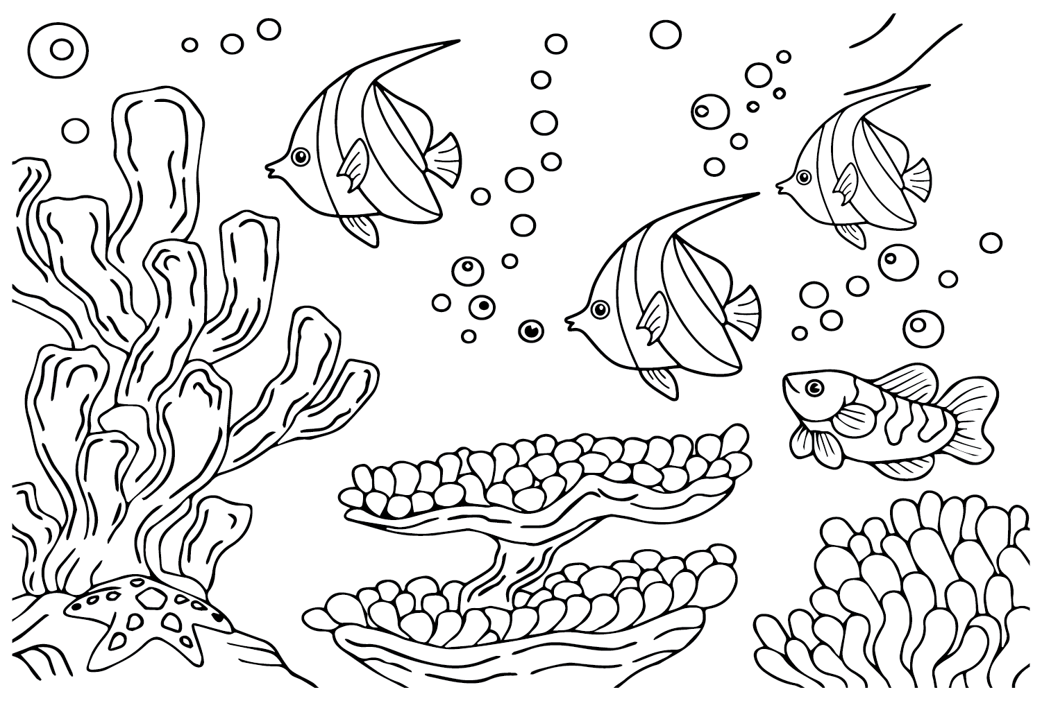 Pennant Coralfish Printable Coloring Page - Free Printable Coloring Pages