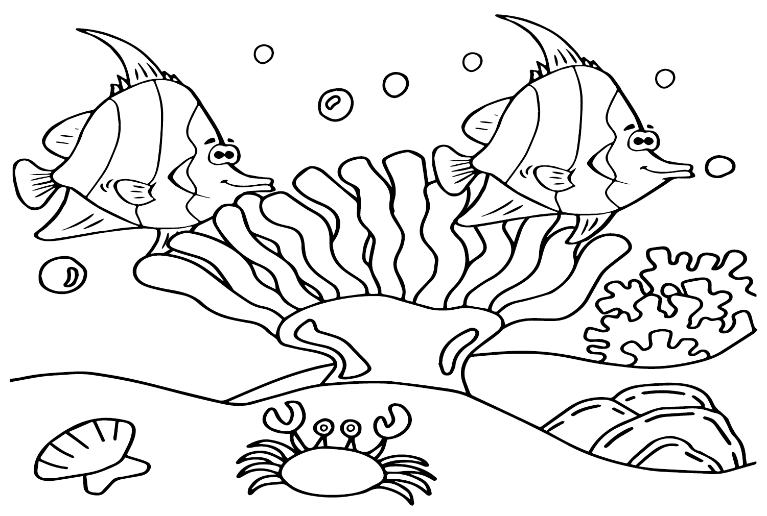 Вымпел-коралл и краб из Pennant Coralfish