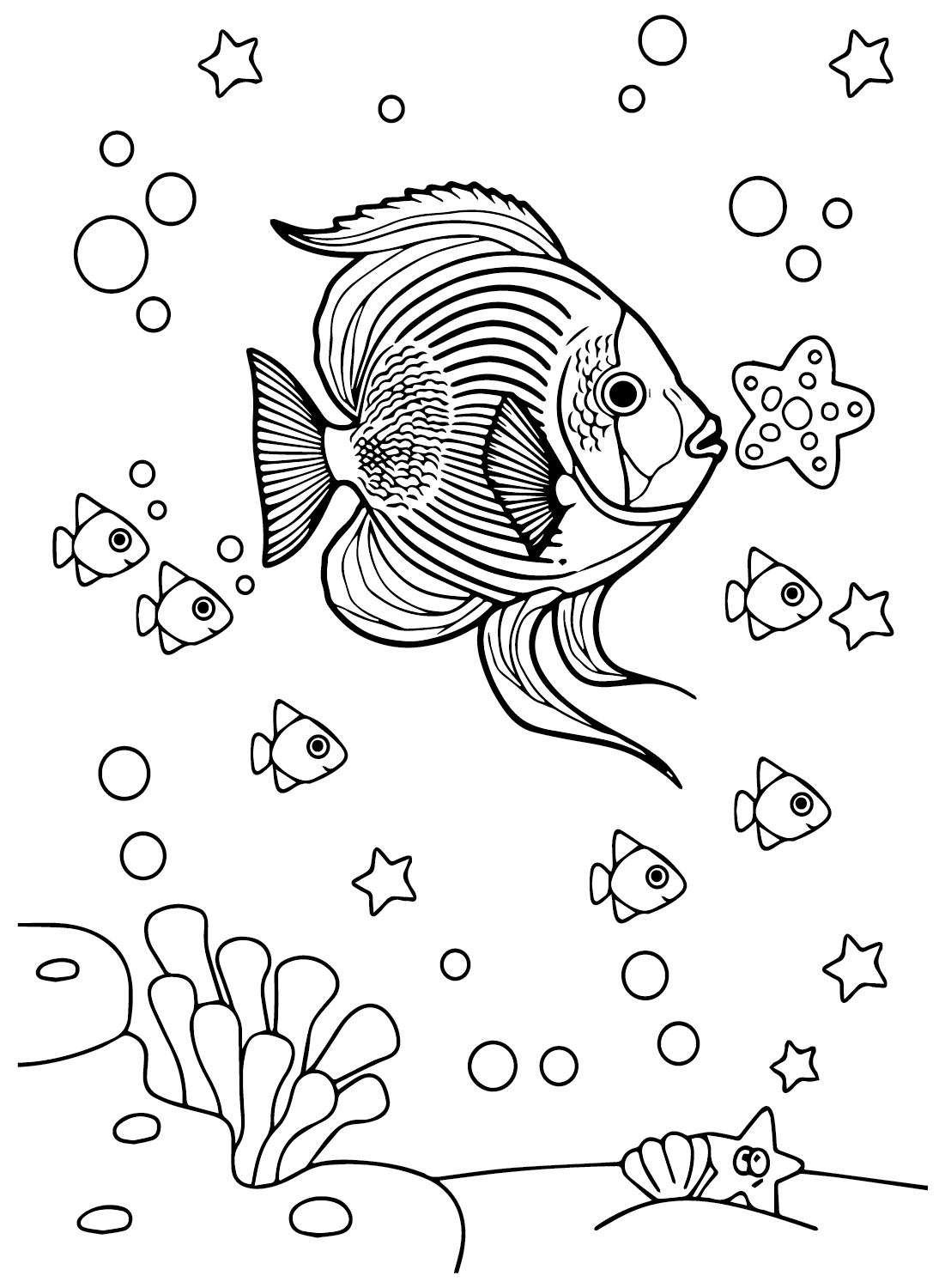 Wimpelkorallenfische und kleine Fische von Wimpelkorallenfischen