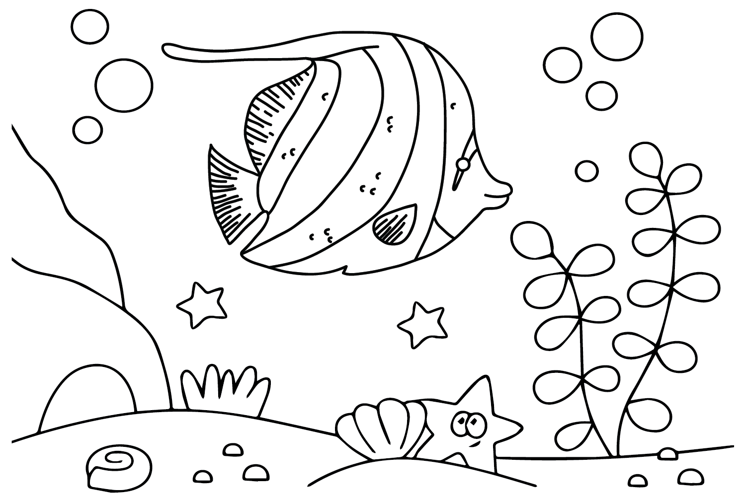 Pennant Coralfish-Farbblätter von Pennant Coralfish