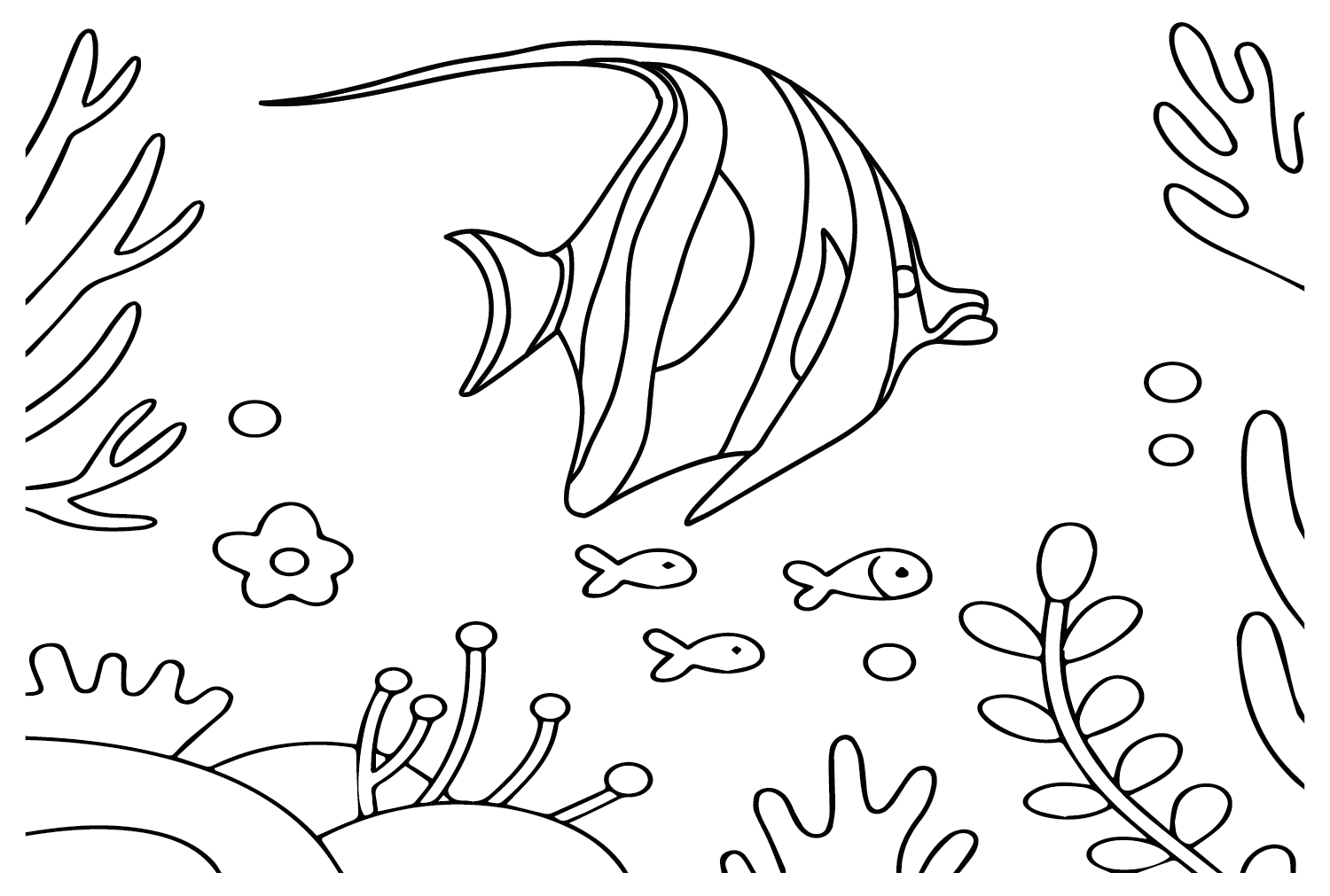 Pennant Coralfish 儿童用 Pennant Coralfish