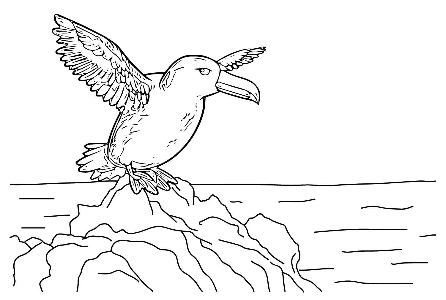Pictures Albatross Coloring Page from Albatross