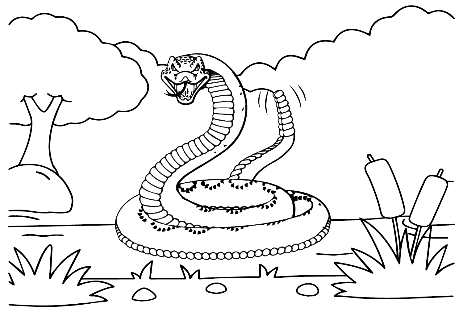Immagini Serpente a sonagli Pagina da colorare di Serpente a sonagli