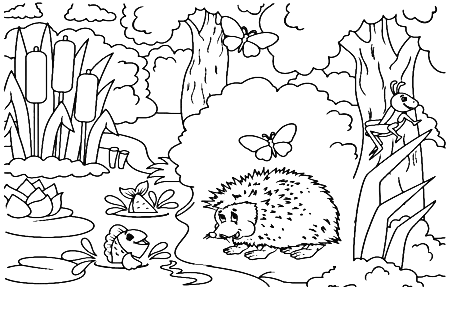 Página para colorir de porco-espinho para crianças em idade pré-escolar de Porcupine