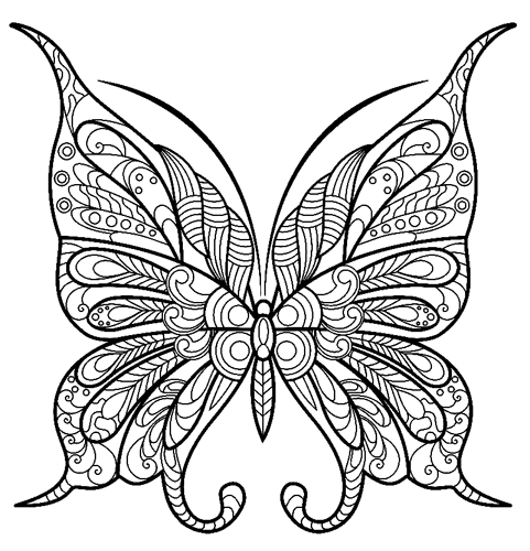 Pretty-Butterfly-Zentangle