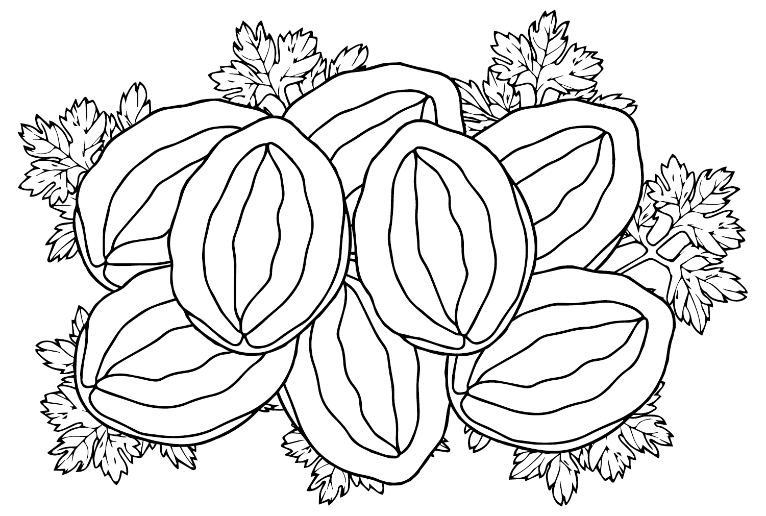 Print Abalone Coloring Page from Abalone