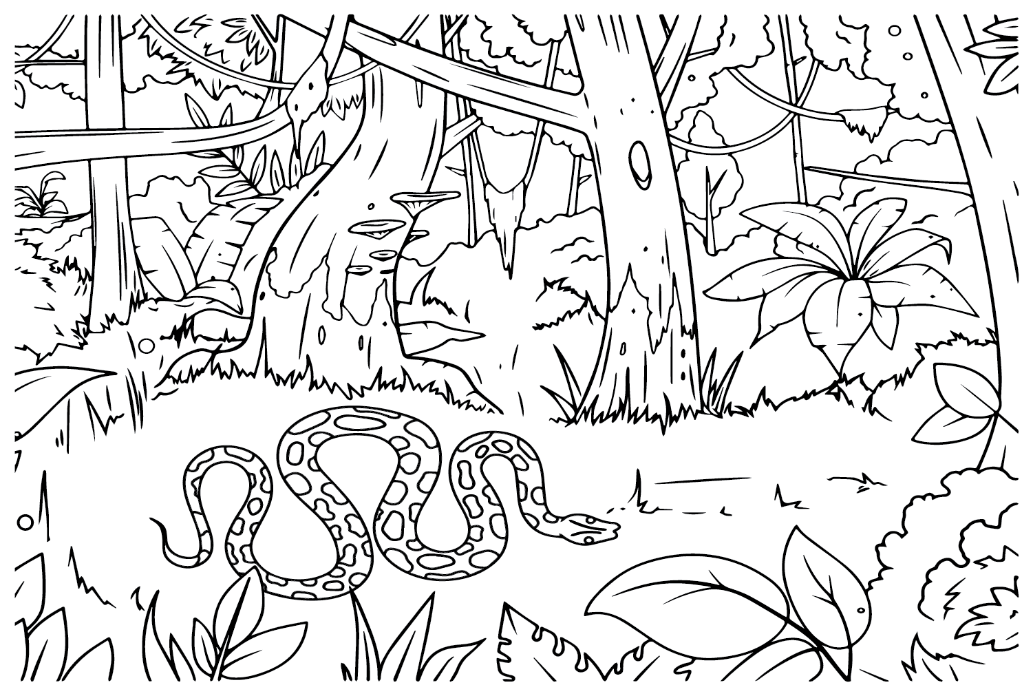 Imprimir página para colorir do Anaconda do Anaconda