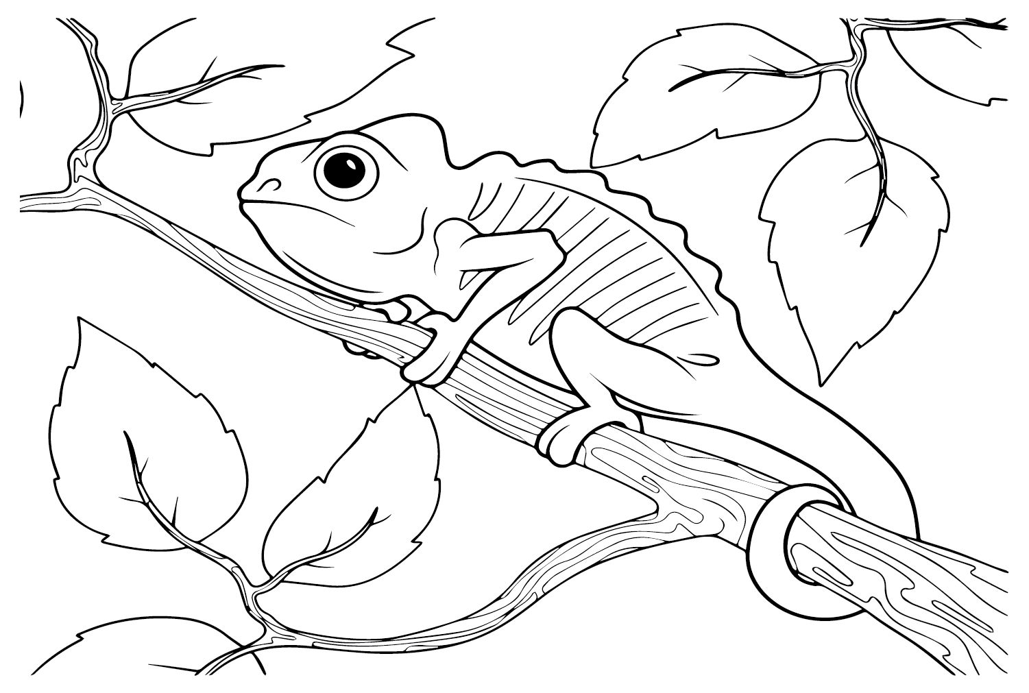 Página para colorear de camaleón imprimible de Chameleon