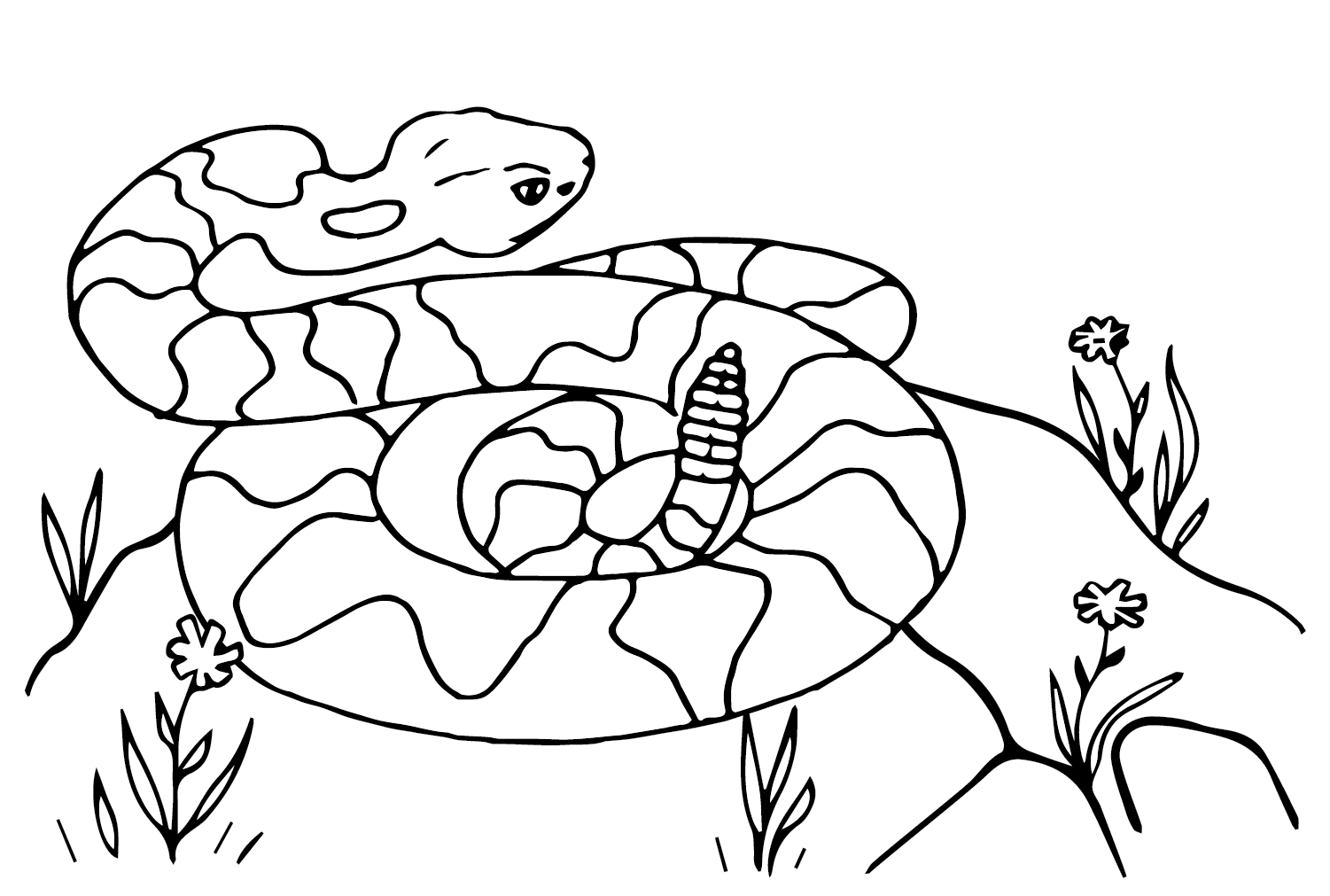 Rattlesnake Coloring Sheet for Kids from Rattlesnake
