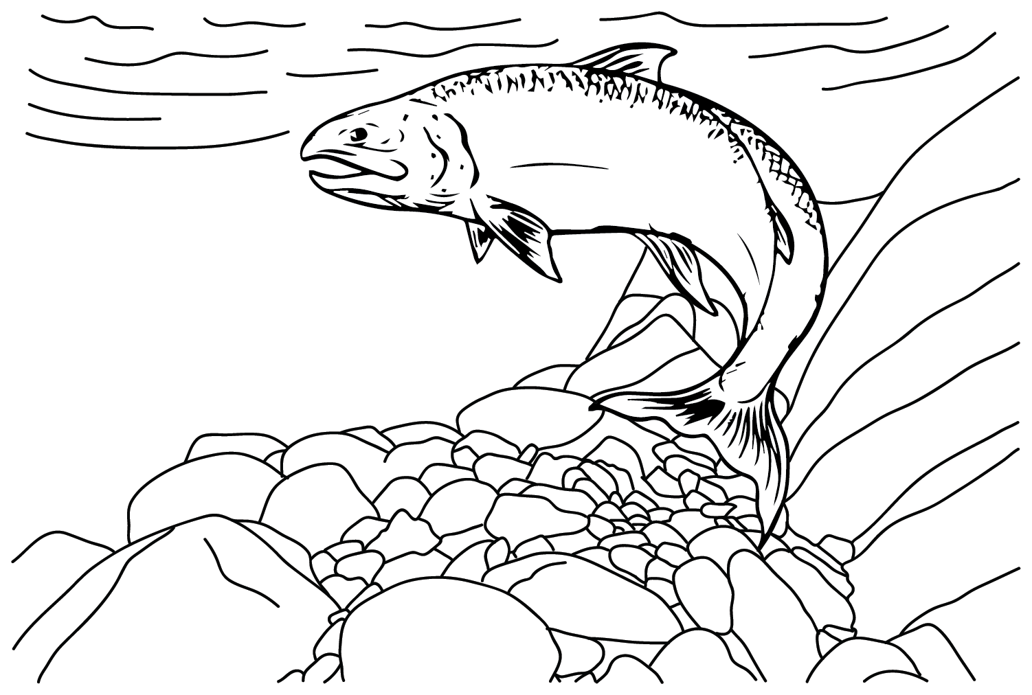 Salmon to Print Coloring Page - Free Printable Coloring Pages