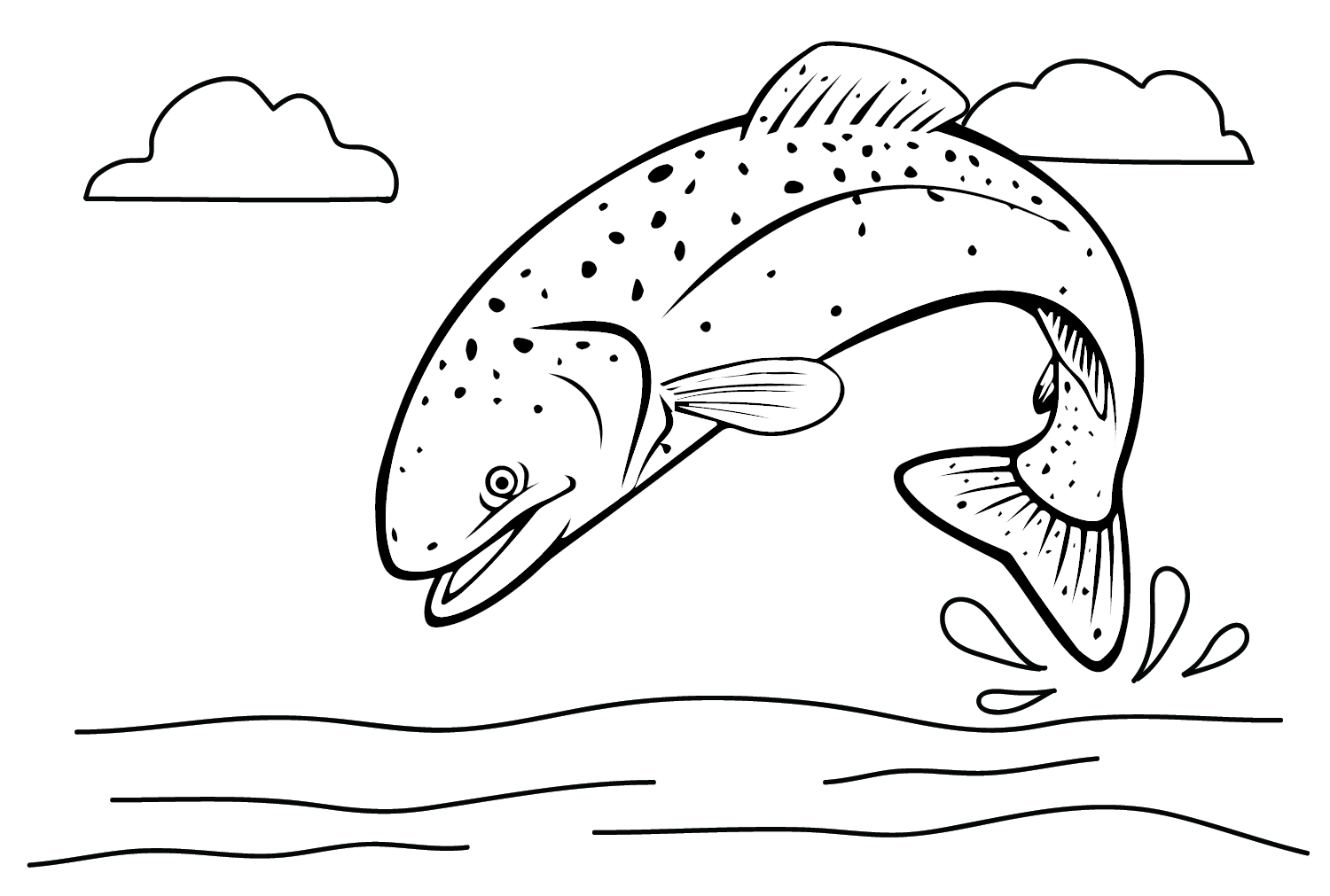 三文鱼从三文鱼跳