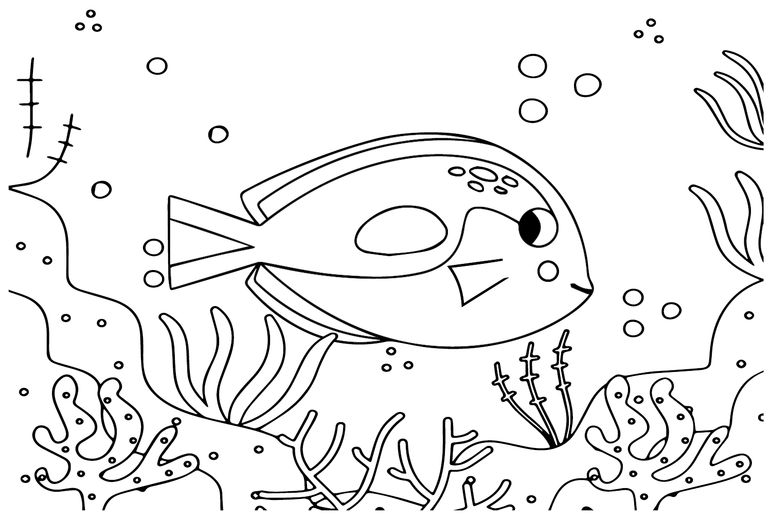Saltwater Tang Fish Coloring Page - Free Printable Coloring Pages