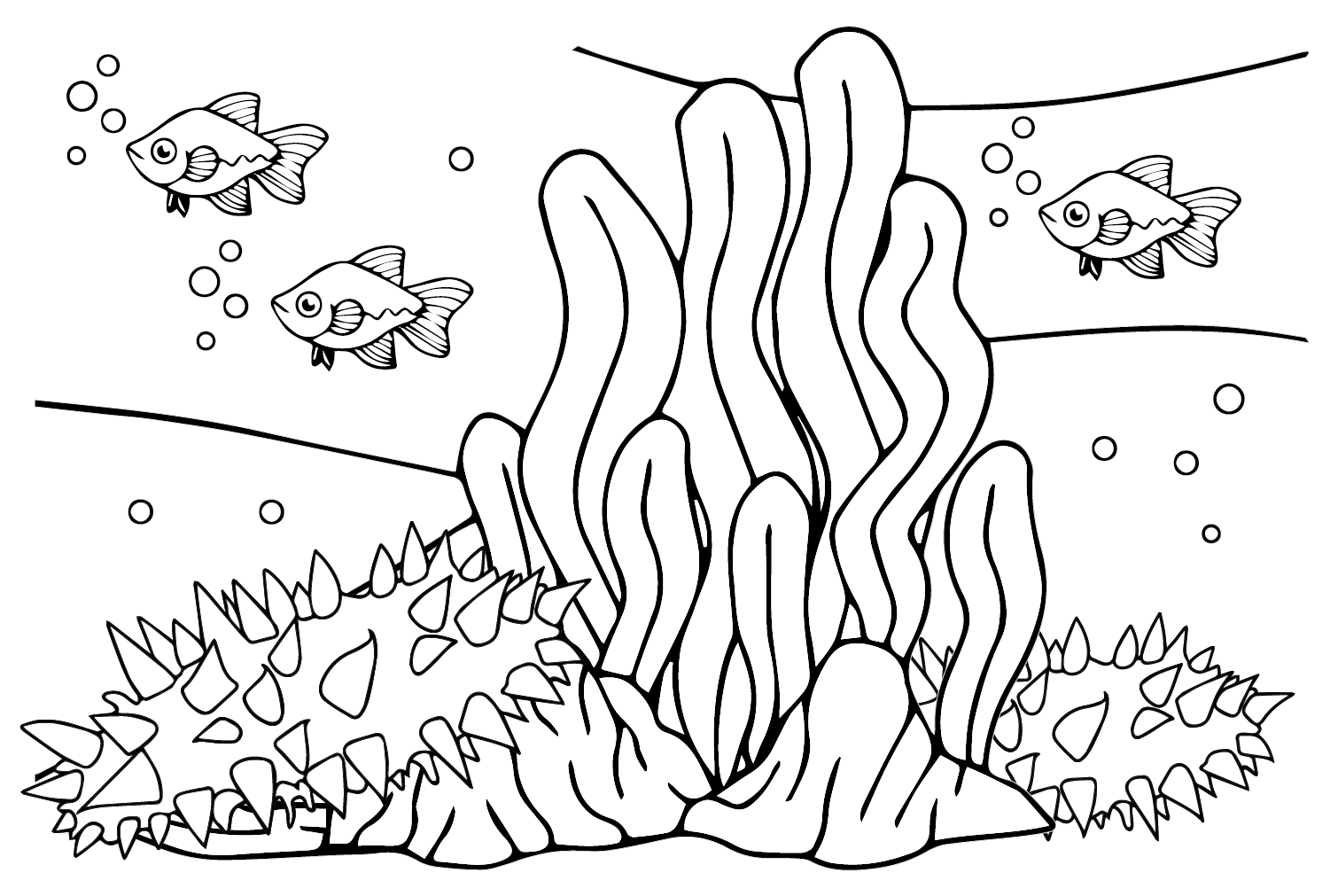 Cetriolo di mare Disegno dal cetriolo di mare