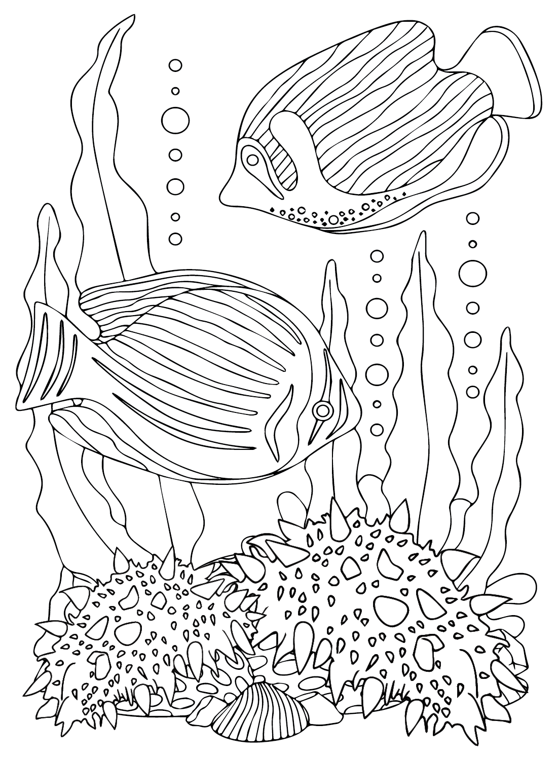 Pepino de mar y pescado de pepino de mar