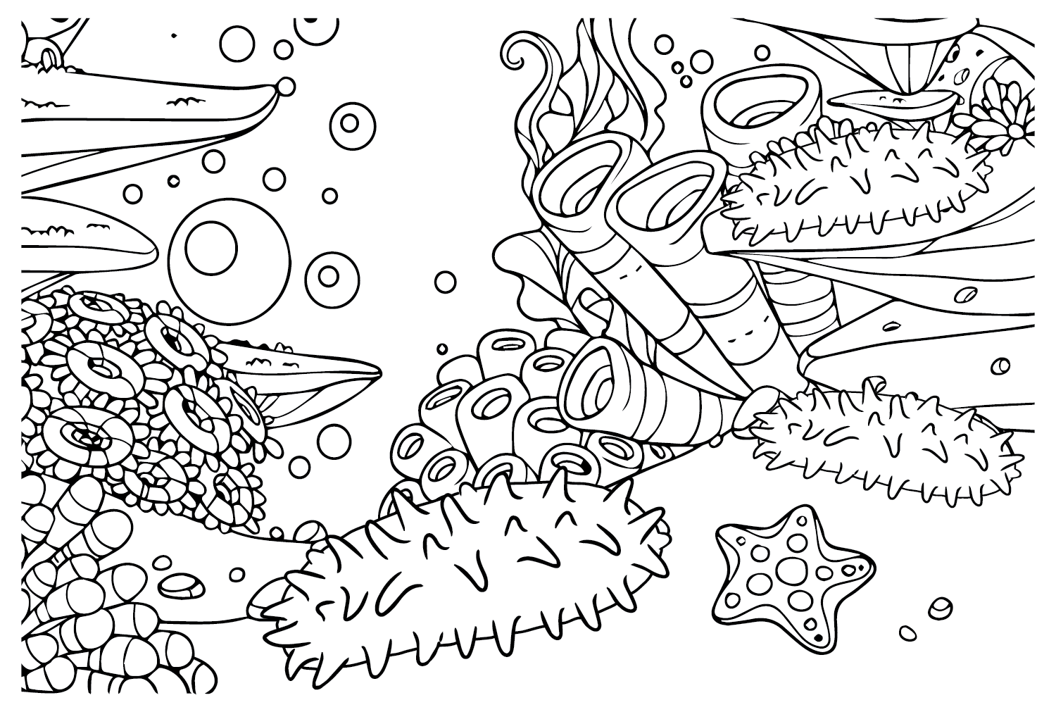 Pepino de mar y estrella de mar, coral de pepino de mar