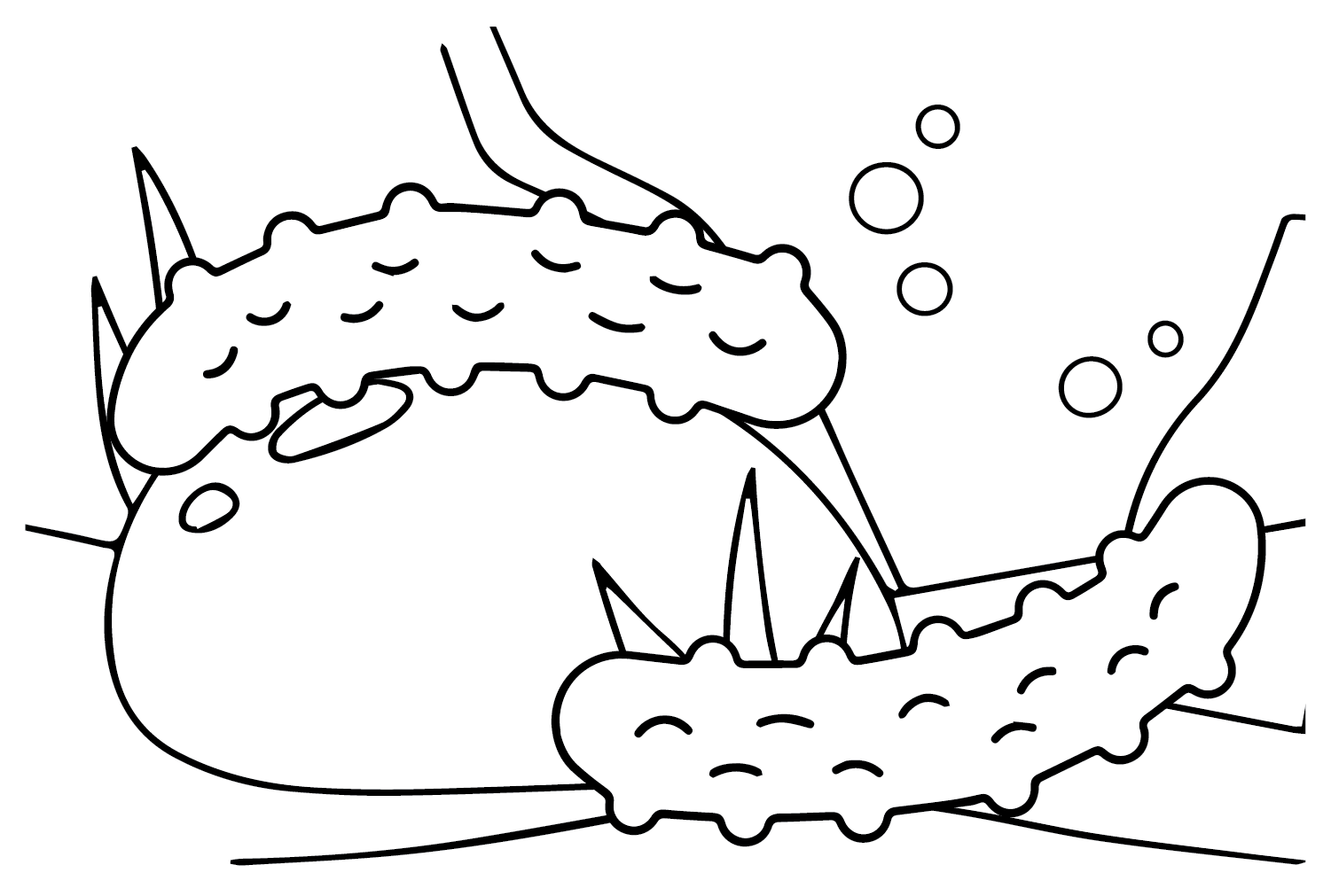 Cetriolo di mare da colorare da Cetriolo di mare