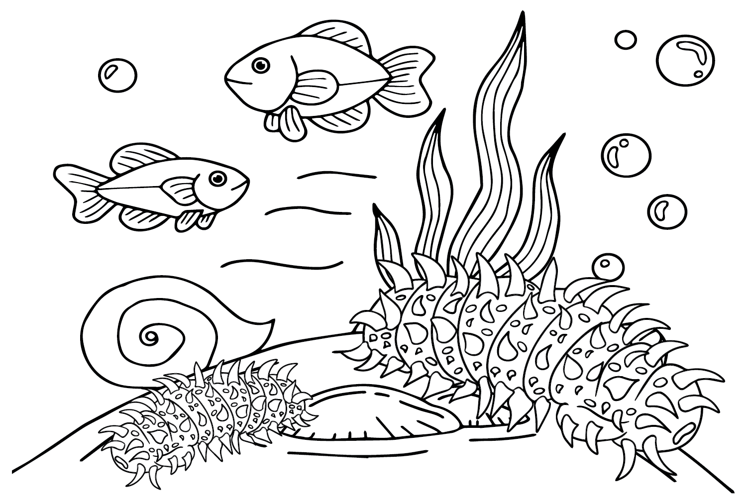Cetrioli di mare con pesce di cetrioli di mare