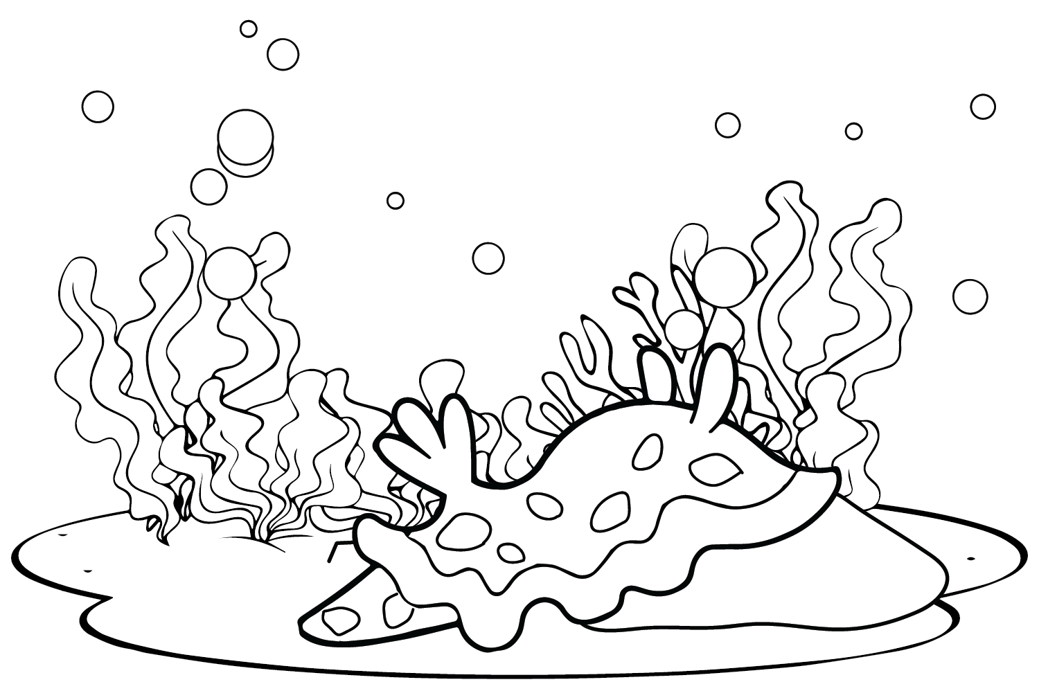 Desenho de Lesma do Mar from Sea Slug