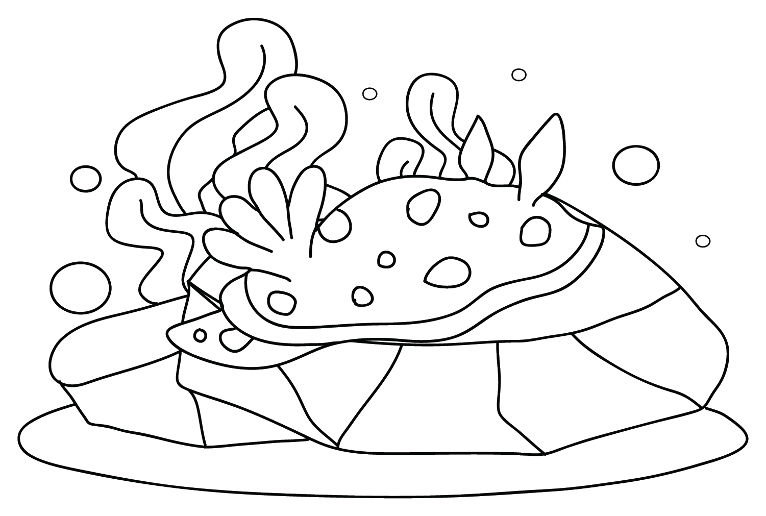 海蛞蝓 图片来自海蛞蝓