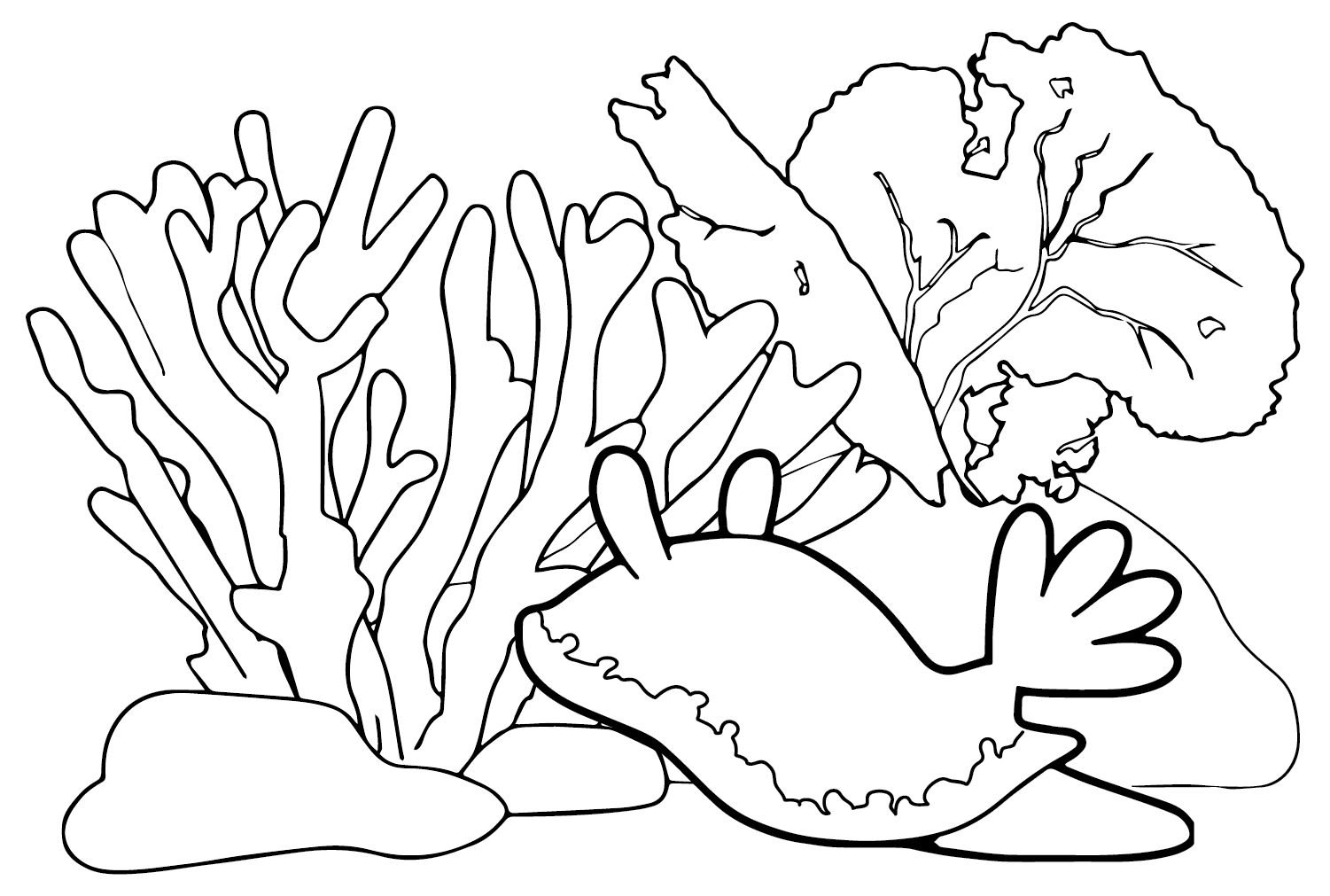 Desenho de linha de lesma do mar de Sea Slug