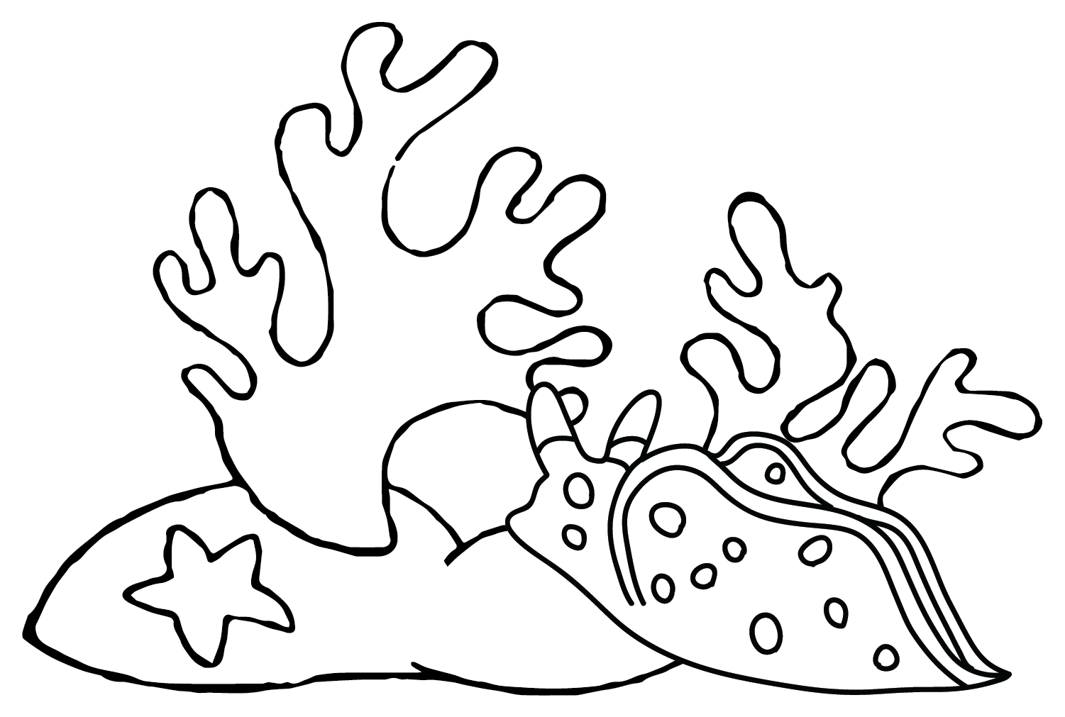 海蛞蝓 图片来自海蛞蝓